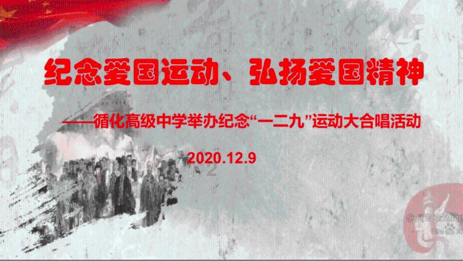 小猫钓鱼游戏龙王版有船