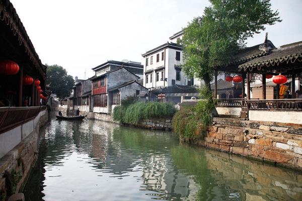 专业解答,尽在请问这是什么虫子?狗狗身上掉下来的。!
